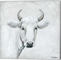 Framed January Cow I