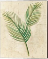 Framed Sago Palm Leaves Neutral Crop