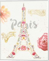 Framed Paris Blooms I