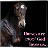 Framed Horse Quote 8