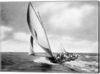 Framed Under sail, Sydney Harbour