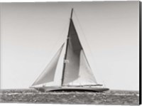 Framed Classic  Racing Sailboat