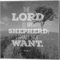 Framed Psalm 23 The Lord is My Shepherd - Field