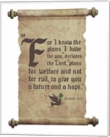 Framed Jeremiah 29:11 For I know the Plans I have for You (Dove on Scroll)
