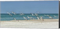 Framed Beach Skimmers