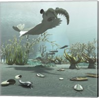 Framed Animals And Floral Life From The Burgess Shale Formation Of The Cambrian Period