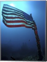 Framed American Flag on a Sunken Ship in Key Largo, Florida