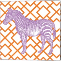 Framed Bright Menagerie Zebra