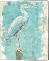 Framed Coastal Egret I