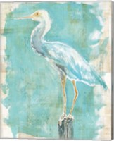 Framed 'Coastal Egret II' border=