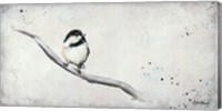 Framed Chickadee I