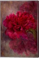 Framed Tapestry Rose