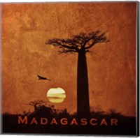 Framed Vintage Baobab Trees at Sunset in Madagascar, Africa