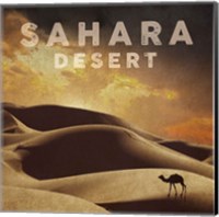 Framed Vintage Sahara Desert with Sand Dunes and Camel, Africa