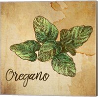 Framed Oregano on Burlap