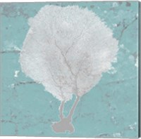 Framed Graphic Sea Fan II