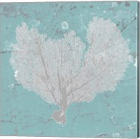 Framed Graphic Sea Fan VI