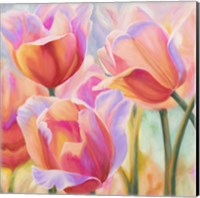 Framed Tulips in Wonderland II
