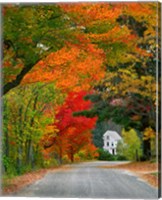 Framed Road lined in fall color, Andover, New England, New Hampshire