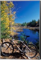 Framed Mountain Bike at Beaver Pond in Pawtuckaway State Park, New Hampshire