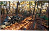 Framed Stone Wall, Nature Conservancy Land Along Crommett Creek, New Hampshire