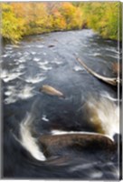 Framed Ashuelot River, New Hampshire