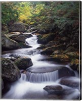 Framed Gordon Water Falls, Appalachia, White Mountains, New Hampshire
