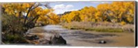 Framed Rio Grande River, Pilar, New Mexico