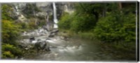 Framed Forest Waterfall, Patagonia, Argentina