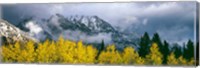 Framed Mount Saint John, Grand Teton National Park, Wyoming