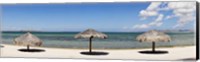 Framed Sun Shade on the Beach of La Paz, Baja California Sur, Mexico