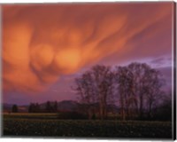 Framed Clouds in the Evening Light, Skagit Valley, Washington