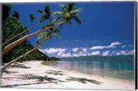 Framed Oceania, Fiji Island