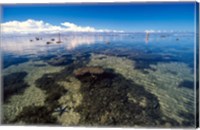 Framed Tourists and Starfish in Rock Pools, Tambua Sands Resort, Coral Coast, Fiji