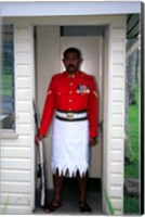 Framed Guard, Former Government House, Suva, Fiji