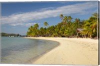 Framed Beach and palm trees,  Malolo Lailai Island, Mamanuca Islands, Fiji