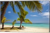 Framed Beach, palm trees and lounger, Plantation Island Resort, Malolo Lailai Island, Mamanuca Islands, Fiji