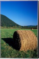Framed Hay Bales in Litchfield Hills, Connecticut