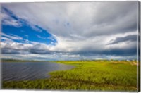 Framed Salt Marsh side of Long Beach in Stratford, Connecticut