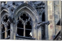 Framed Castle Window and Gargoyle, Prague, Czech Republic