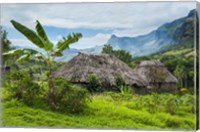 Framed Traditional thatched roofed huts in Navala, Fiji