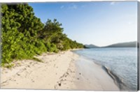 Framed White sandy beach, Fiji