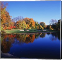 Framed Trees in a golf course, Patterson Club, Fairfield, Connecticut