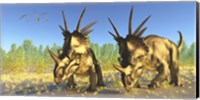 Framed flock of Pterodactylus fly above two Styracosaurus Dinosaurs