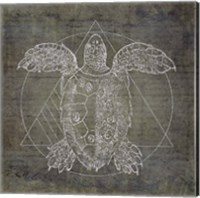 Framed Turtle Geometric Silver