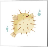 Framed Sea Creatures - Pufferfish