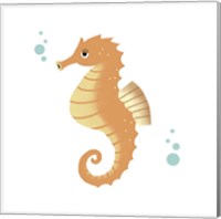 Framed Sea Creatures - Seahorse