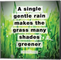 Framed Single Gentle Rain - Henry Thoreau Quote (Vibrant)