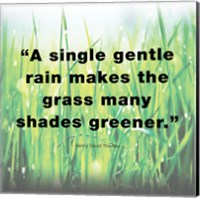 Framed Single Gentle Rain - Henry Thoreau Quote (Light)