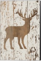 Framed Deer in Reverse